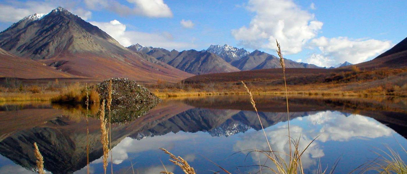 Alaska Hunting Guides