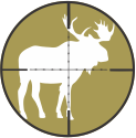 Alaska Moose Hunts by Top Gun Treks