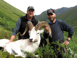 Dall-Sheep-Hunting