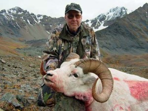 Dall-Sheep-Hunts Dall-Sheep-Hunts