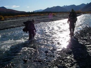 Hunts-in-Wilderness-Area Hunts-in-Wilderness-Area