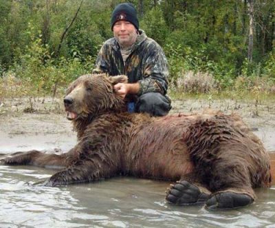 Guided Alaska Brown Bear Baited Hunts 500
